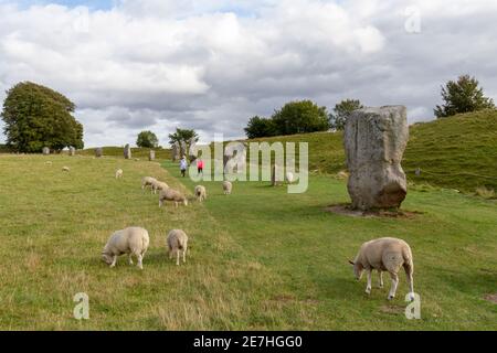 Ein Paar, das am äußeren Ring der Website Avebury Henge & Stone Circles vorbeigeht, Wiltshire, England. Stockfoto