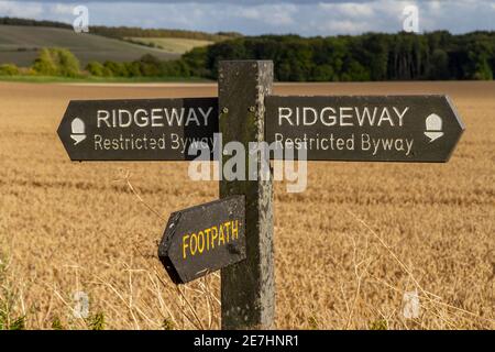 Wegweiser auf dem Ridgeway Fußweg (eingeschränkt auf dem Weg) in der Nähe von Wayland's Smithy auf den Downs über dem Vale of the White Horse in Oxfordshire, Großbritannien Stockfoto