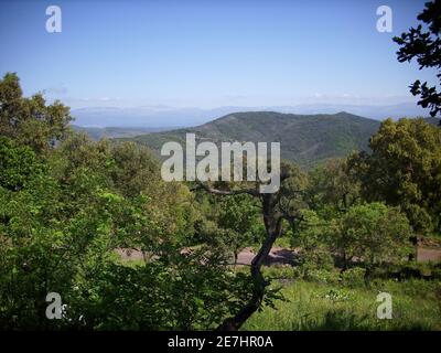 Straße durch die Berge im Süden Frankreichs zwischen Saint Tropez und Nizza. Stockfoto