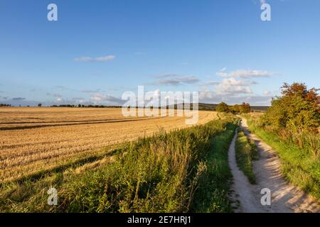 Blick auf einen Teil des Ridgeway-Pfades in der Nähe von Wayland's Smithy the Downs oberhalb des Vale of the White Horse im Süden von Oxfordshire, Großbritannien. Stockfoto