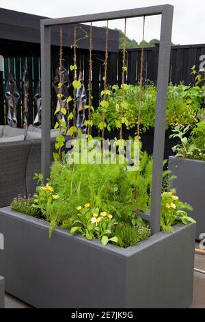 Der bewegliche Festgarten - RHS Chatsworth Flower Show 2017 Stockfoto