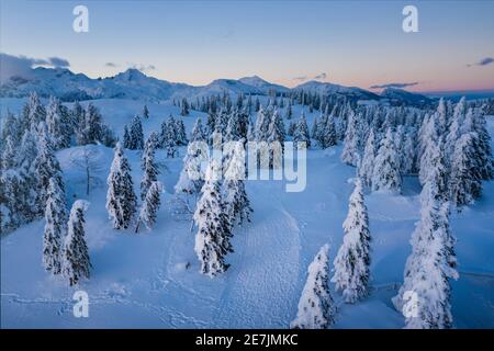 Luftaufnahme der Winterlandschaft mit schneebedecktem Fichtenwald in den Bergen mit schönem Sonnenlicht. Stockfoto