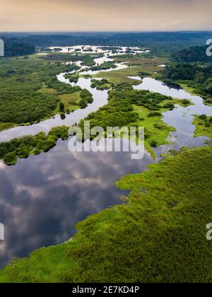 Luftaufnahme von tropischen Feuchtgebieten, Akaka, Loango National Park, Gabun. Stockfoto