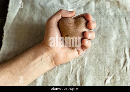 Die Hand eines Mannes hält ein hässliches Gemüse, eine herzförmige Kartoffel auf einem Hintergrund aus Leinentuch. Quadratisches, hässliches Essen Stockfoto