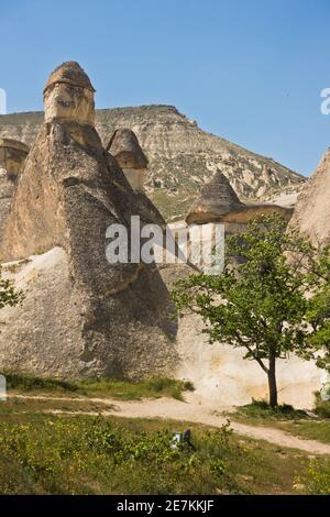 Detail von herrlichen Steinstrukturen und in der Nähe von Goreme, Kappadokien, Anatolien, Türkei Stockfoto