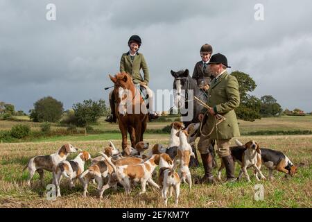 huntsman auf dem Pferd mit Beagle-Hunden um den Horse Border Beagle-Hound-Club an sonnigen Tagen mit blauem Himmel Stockfoto