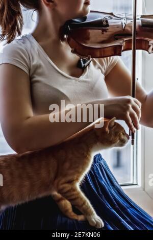 Ein junges Mädchen spielt die Geige am Fenster mit einer Katze auf dem Schoß. Stockfoto