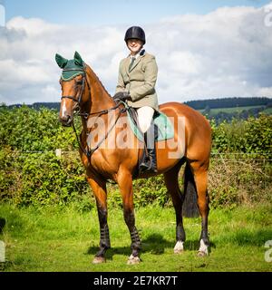 lady auf braunem Pferd in der Sonne mit blauem Himmel sieht glücklich aus Stockfoto