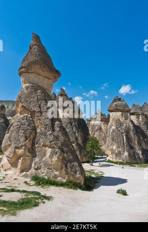 Detail von herrlichen Steinstrukturen und in der Nähe von Goreme, Kappadokien, Anatolien, Türkei Stockfoto