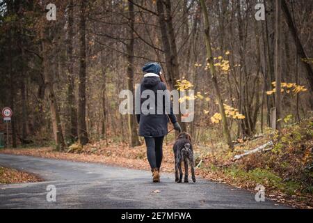 Die junge Frau im Mantel und mit einer Mütze auf dem Kopf geht mit ihrem Hund an einem feuchten frühen Wintermorgen. Authentische Frauen mit ihrem besten Freund Bohemian Wire-Haar Stockfoto