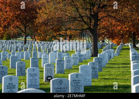 Rote, orangefarbene und goldene Ahornbäume verleihen den Reihen der Grabmaler auf dem Arlington National Cemetery in Arlington, Virginia, die höchste Herbstfarbe. Stockfoto