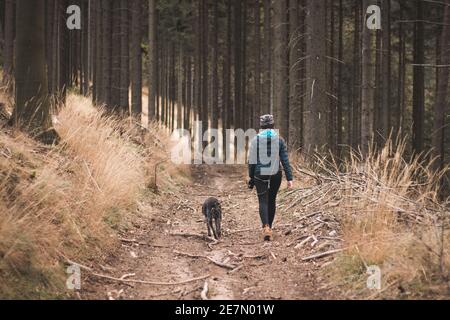 Die junge Frau in Winterkleidung und ihr Hund Barbu tcheck wandern in den frühen Morgenstunden durch den Wald. Vertrauen zwischen Hund und Mensch. Friedliches und entspannendes atmos Stockfoto