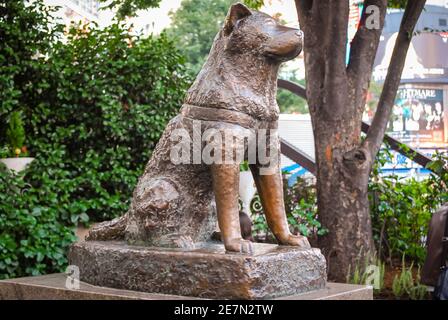 Bronzestatue eines Hachiko, Tokyo, Japan Stockfoto