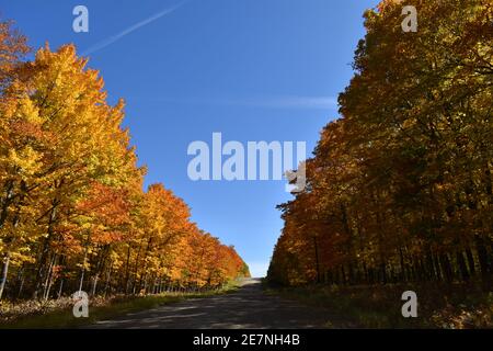 La Route de l'église en automne, Sainte-Apolline, Québec Stockfoto