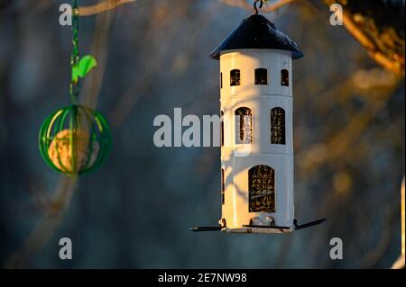 Vogelfutterhäuschen, das im Garten vom Baum hängt Stockfoto