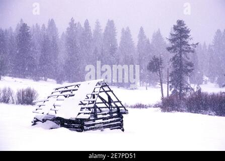 Deadwood Prairie Hütte im Schnee, Rogue River National Forest, Oregon Stockfoto