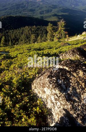 Blick vom Mt Ashland, Rogue River National Forest, Oregon Stockfoto