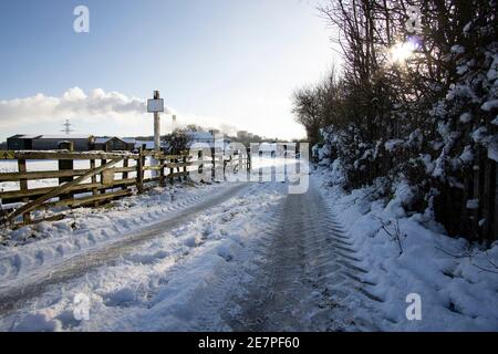 Straße, die im Winter zu einem Bauernhof führt Stockfoto