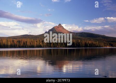 Mt Washington von den grossen See, McKenzie Pass-Santiam Pass National Scenic Byway, Willamette National Forest, Oregon Stockfoto