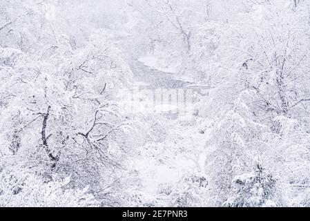 Starker Schneefall landet auf Montpelier, VT, New England, USA. Stockfoto