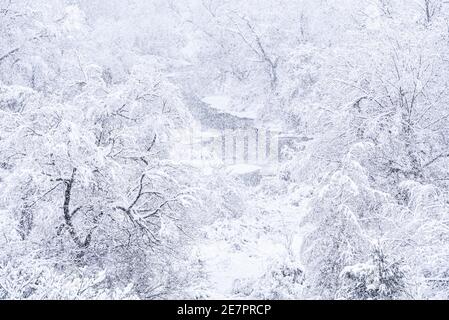 Starker Schneefall landet auf Montpelier, VT, New England, USA. Stockfoto