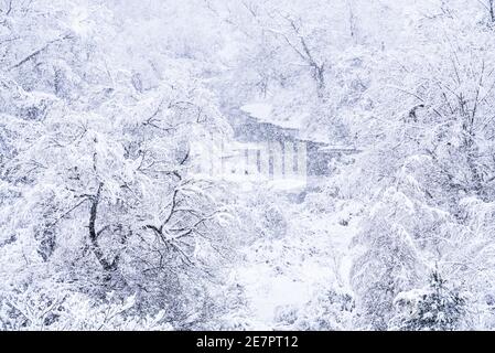 Starker Schneefall landet auf Montpelier, VT, New England, USA. Stockfoto