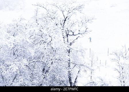 Skilanglauf bei starker Schneefalllandung, Montpelier, VT, New England, USA. Stockfoto