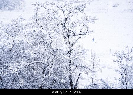 Skilanglauf bei starker Schneefalllandung, Montpelier, VT, New England, USA. Stockfoto