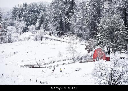 Skilanglauf bei starker Schneefalllandung, Montpelier, VT, New England, USA. Stockfoto