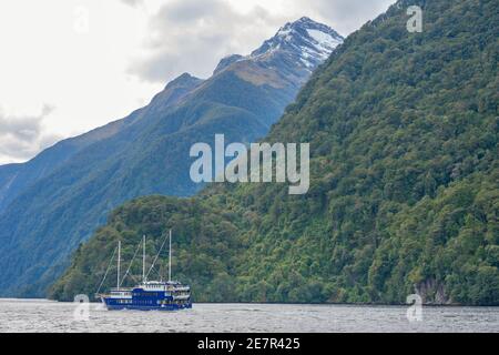 Bootstour auf Doubtful Sound, Fiordland National Park, Doubtful Sound, South Island, Neuseeland Stockfoto