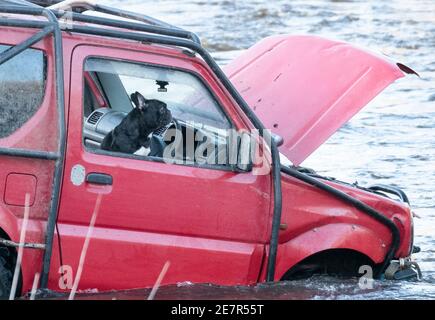 **BITTE BEACHTEN SIE DAS KORREKTE DATUM** River Rescue West Lothian, Schottland, UK. Januar 2021. Ein Mann holt sich ein Suzuki Jimny Fahrzeug mit Hund an Bord vom River Almond, West Lothian, Schottland. Quelle: Ian Rutherford/Alamy Live News. Stockfoto