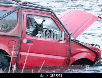 **BITTE BEACHTEN SIE DAS KORREKTE DATUM** River Rescue West Lothian, Schottland, UK. Januar 2021. Ein Mann holt sich ein Suzuki Jimny Fahrzeug mit Hund an Bord vom River Almond, West Lothian, Schottland. Quelle: Ian Rutherford/Alamy Live News. Stockfoto