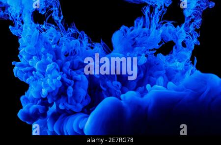Abstrakte blaue Tinte im Wasser auf schwarzem Hintergrund Stockfoto