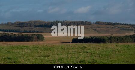 Die niedrige Herbstsonne wirft Schatten über verstreute Wälder und Ebenen in Richtung Sidbury Hill, Salisbury Plain Stockfoto