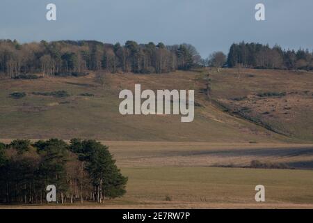 Weg auf Sidbury Hill, Tidworth, Wiltshire Stockfoto