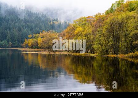 Farbenfrohe Herbstreflexe auf Loch Chon in den Trossachs, Schottland, Großbritannien Stockfoto