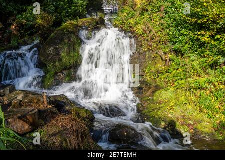 Wasserfall im Macdonald Forest Hills Hotel & Spa am Ufer des Loch ARD in den Trossachs, Schottland, Großbritannien Stockfoto