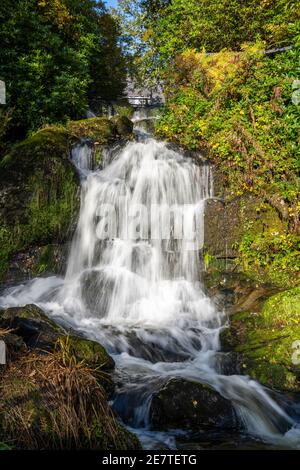 Wasserfall im Macdonald Forest Hills Hotel & Spa am Ufer des Loch ARD in den Trossachs, Schottland, Großbritannien Stockfoto