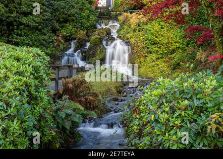 Wasserfall im Macdonald Forest Hills Hotel & Spa am Ufer des Loch ARD in den Trossachs, Schottland, Großbritannien Stockfoto