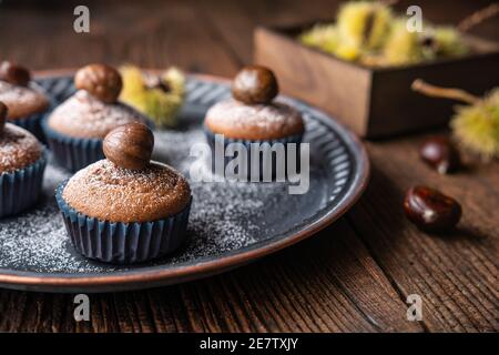 Muffins aus Edelkastanienpüree und Kakao, gekrönt mit geschälten und gebackenen Kastanien, bestäubt mit Puderzucker auf rustikalem Holzhintergrund Stockfoto