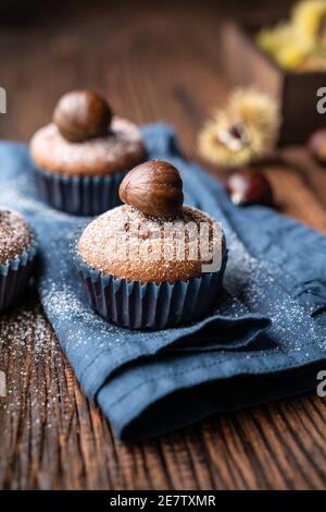 Muffins aus Edelkastanienpüree und Kakao, gekrönt mit geschälten und gebackenen Kastanien, bestäubt mit Puderzucker auf rustikalem Holzhintergrund Stockfoto