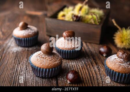 Muffins aus Edelkastanienpüree und Kakao, gekrönt mit geschälten und gebackenen Kastanien, bestäubt mit Puderzucker auf rustikalem Holzhintergrund Stockfoto