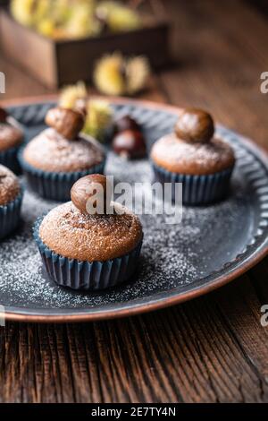 Muffins aus Edelkastanienpüree und Kakao, gekrönt mit geschälten und gebackenen Kastanien, bestäubt mit Puderzucker auf rustikalem Holzhintergrund Stockfoto