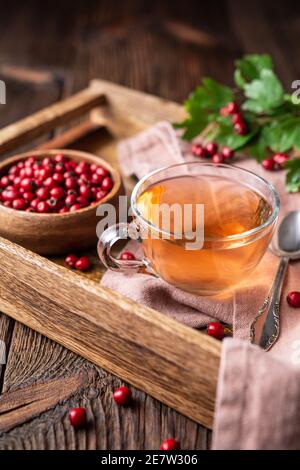 Eine Tasse heißen Weißdorntee aus frisch gepflückten Beeren, Kräutermedizin für die Herzgesundheit auf rustikalem Holzhintergrund Stockfoto