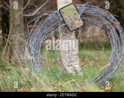 Gewickelter Stacheldraht mit Autospiegel, der auf einem Baum gelehnt ist Stockfoto