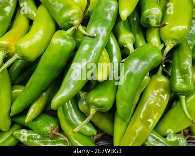 Grüne Chili Peppers an einem Stand. Stockfoto