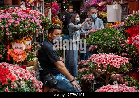 Ein Verkäufer sitzt an seinem Blumenstand, während er typische chinesische Neujahrsblumen auf dem Blumenmarkt während der Vorbereitungen für die kommenden chinesischen Mondneujahresfeiertage verkauft. Stockfoto