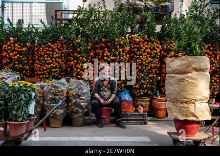 Ein Verkäufer, der an seinen Kumquat-Bäumen, auch als Mandarinenbäume bekannt, sitzt, steht auf dem Blumenmarkt während der Vorbereitungen für die bevorstehende chinesische Mondneujahresfeiertage Ox. Stockfoto