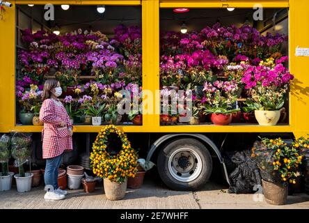 Ein Verkäufer steht an seinem Blumenstand, während sie Orchideen unter anderen typischen chinesischen Neujahrsthemd Blumen auf dem Blumenmarkt während der Vorbereitungen für die bevorstehende chinesische Mondneujahresfeiertage Ox verkauft. Stockfoto