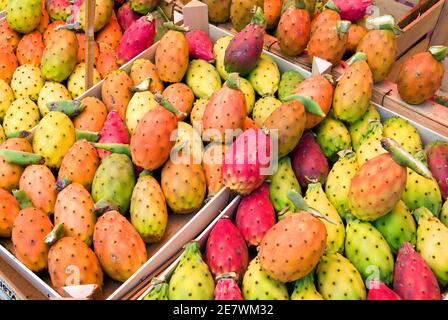 Stachelige Birne Kaktus Frucht in sizilianisches Lebensmittelmarkt, Palermo, Sizilien, Italien Stockfoto